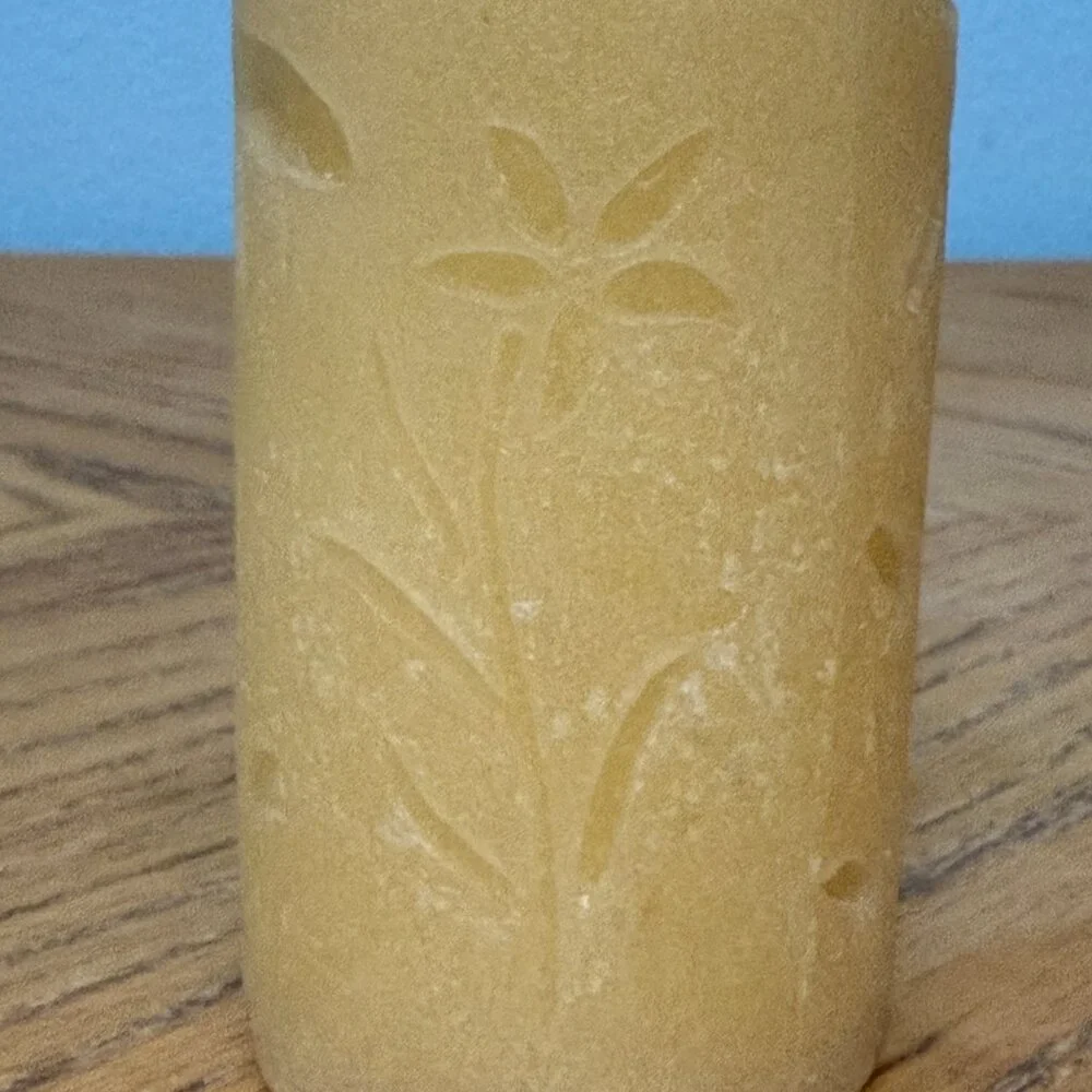 Set of 2 Pier 1 Imports Dragonfly Floral Etched Decorative Pillar Candles
